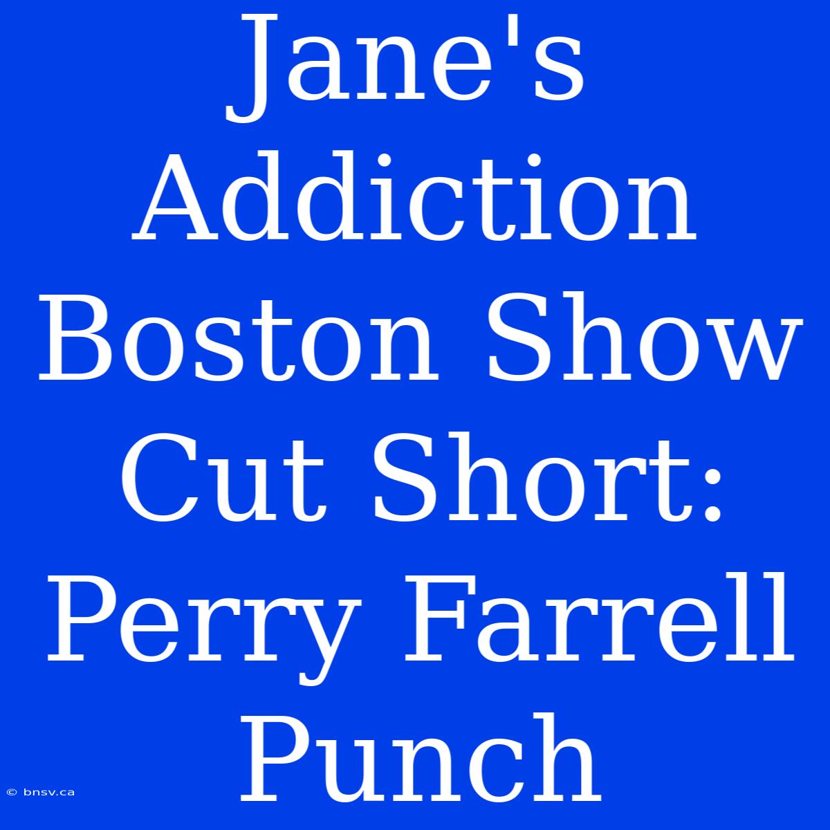 Jane's Addiction Boston Show Cut Short: Perry Farrell Punch