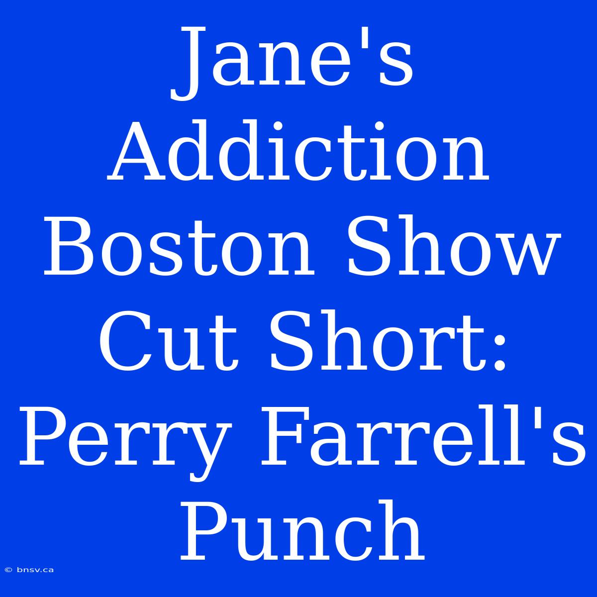 Jane's Addiction Boston Show Cut Short: Perry Farrell's Punch