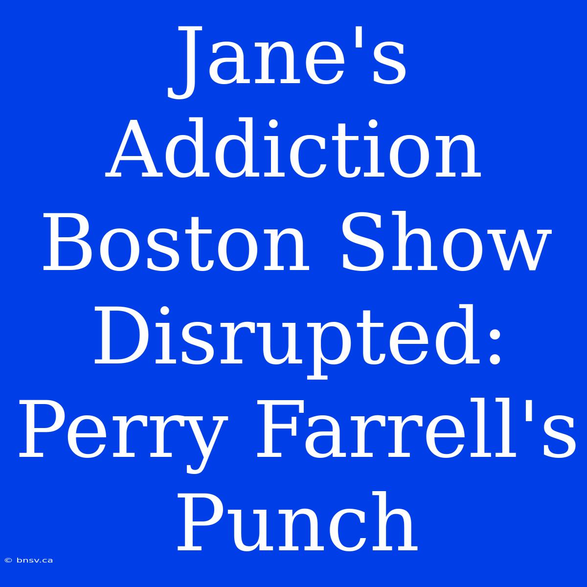 Jane's Addiction Boston Show Disrupted: Perry Farrell's Punch