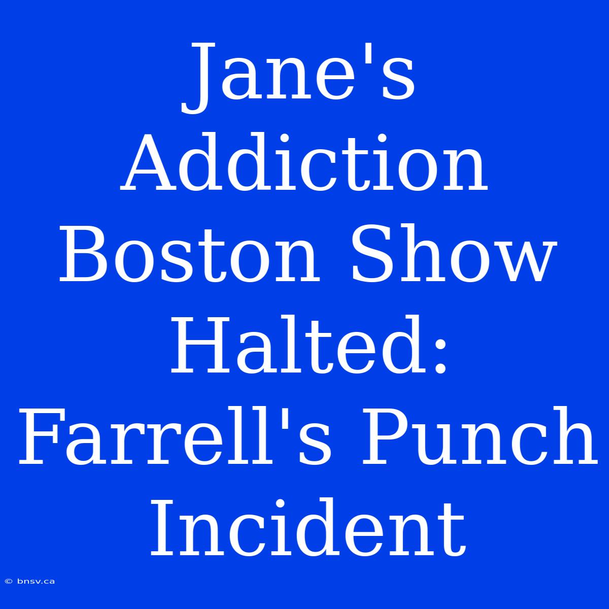 Jane's Addiction Boston Show Halted: Farrell's Punch Incident