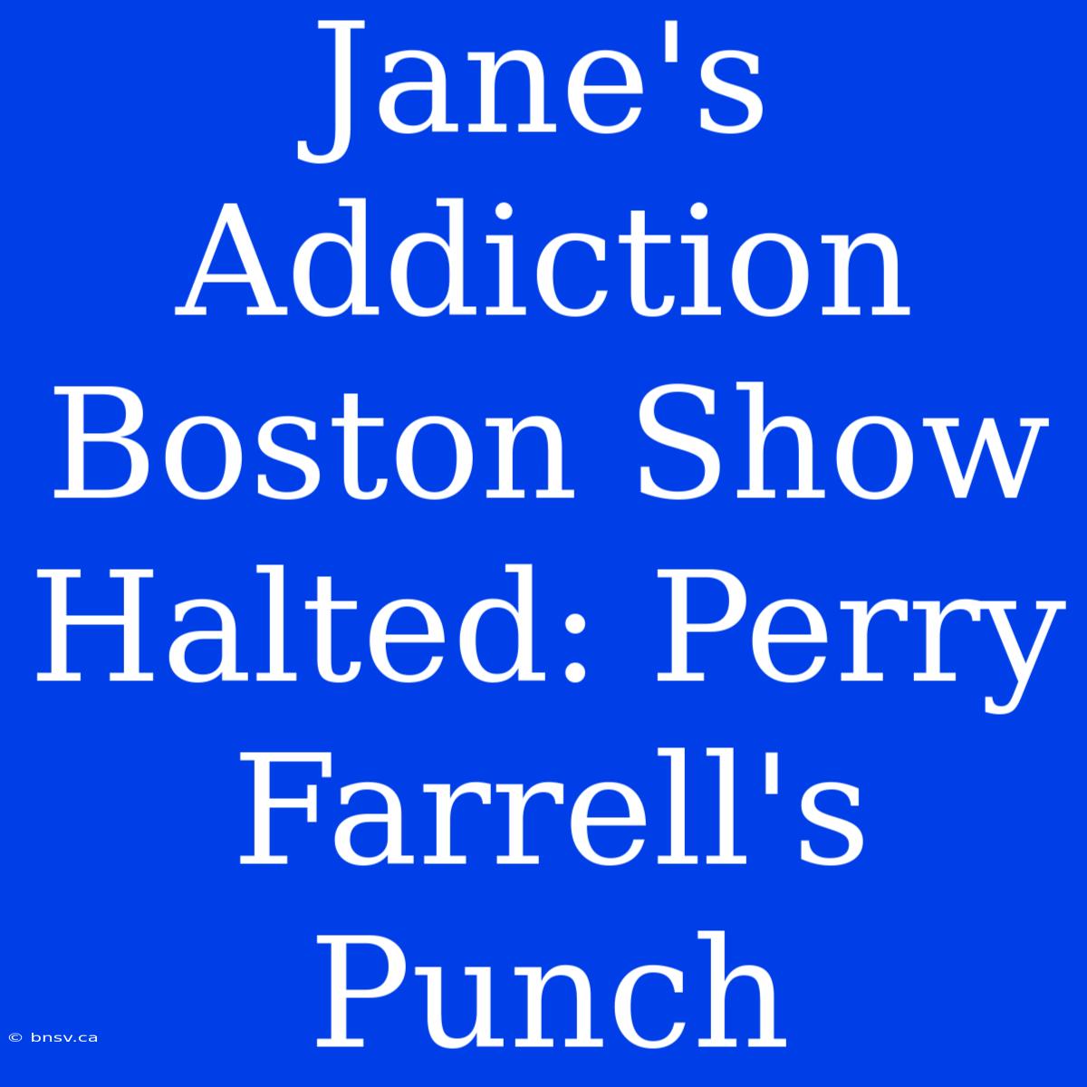 Jane's Addiction Boston Show Halted: Perry Farrell's Punch