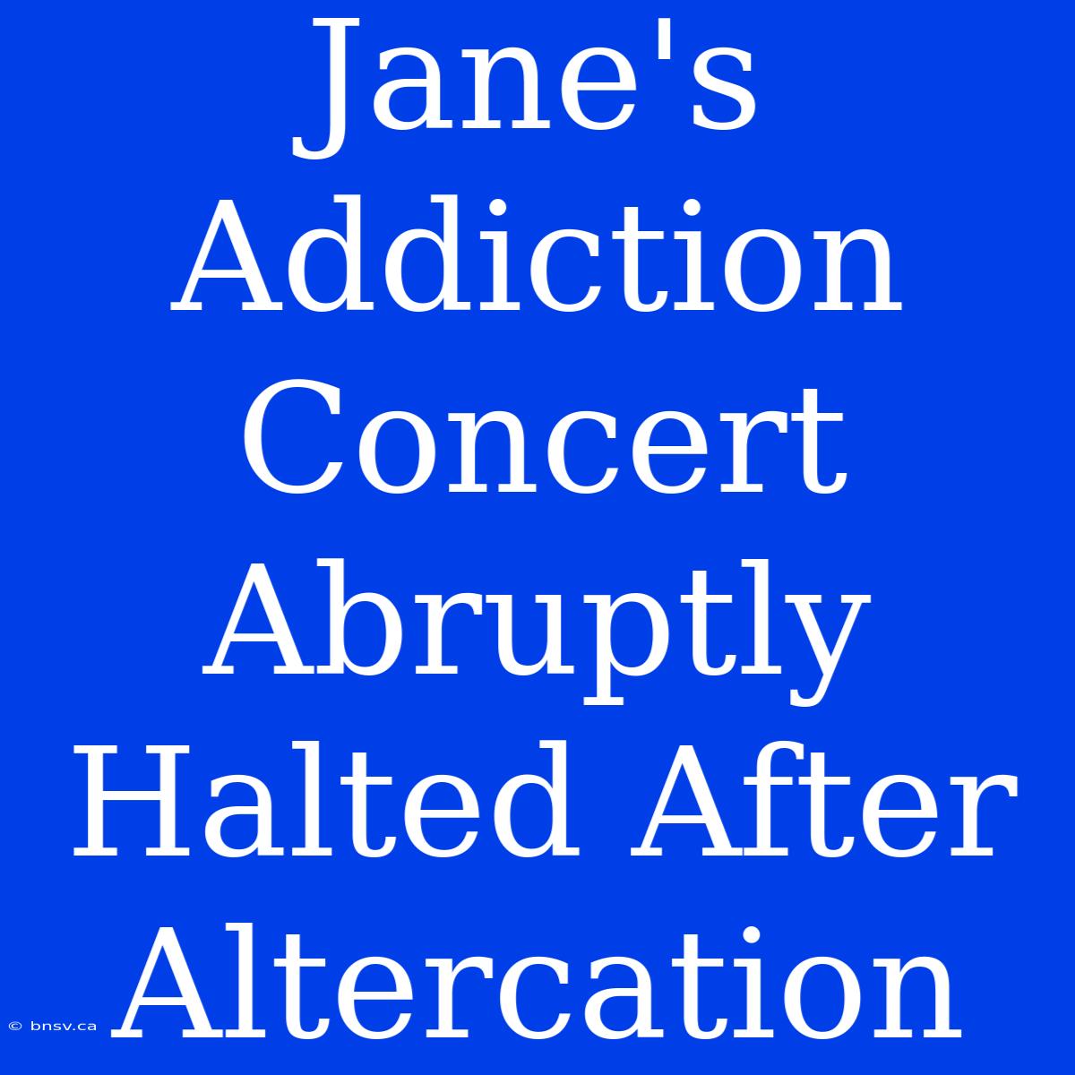 Jane's Addiction Concert Abruptly Halted After Altercation