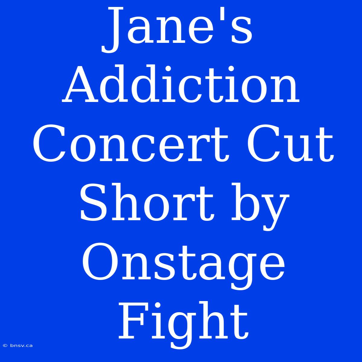 Jane's Addiction Concert Cut Short By Onstage Fight