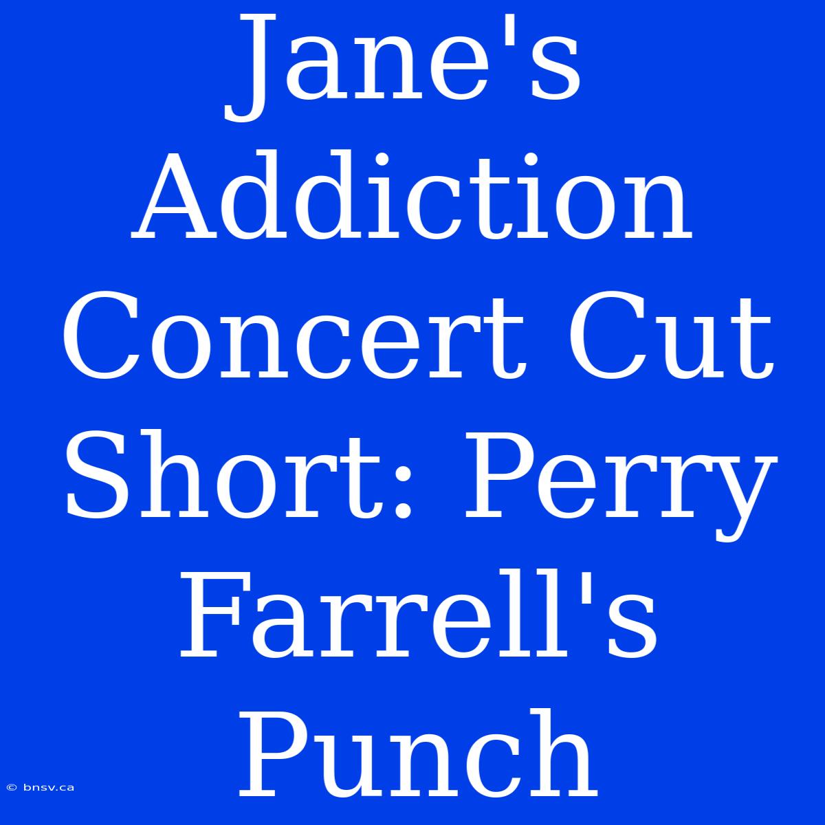 Jane's Addiction Concert Cut Short: Perry Farrell's Punch