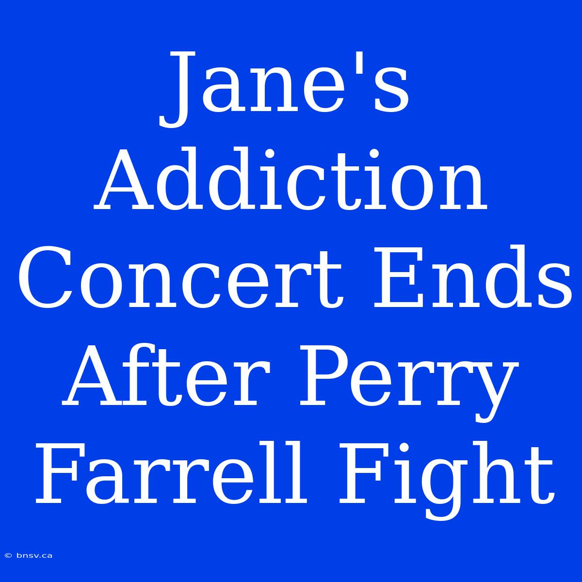 Jane's Addiction Concert Ends After Perry Farrell Fight