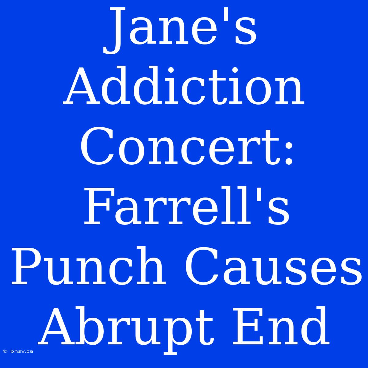 Jane's Addiction Concert: Farrell's Punch Causes Abrupt End