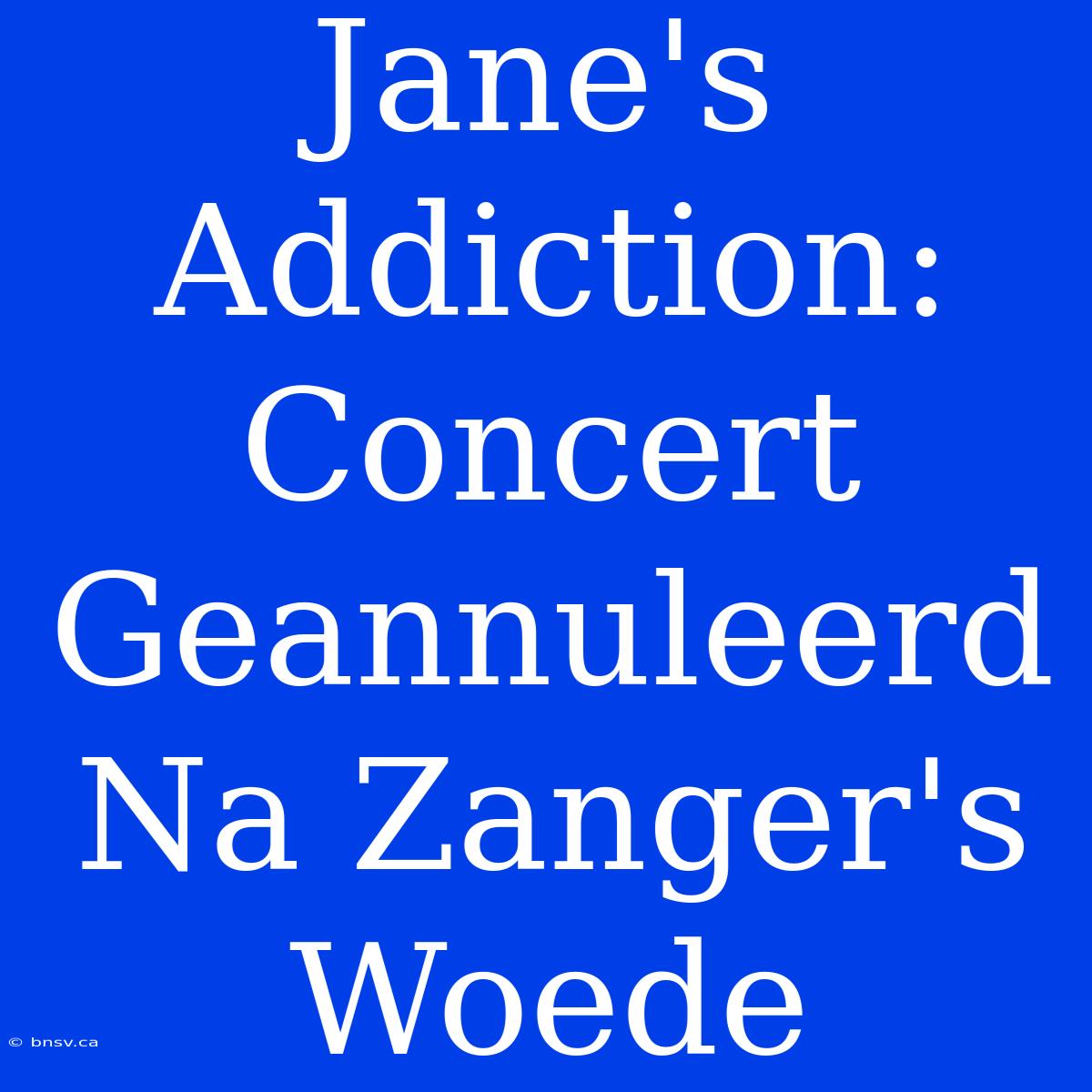 Jane's Addiction: Concert Geannuleerd Na Zanger's Woede