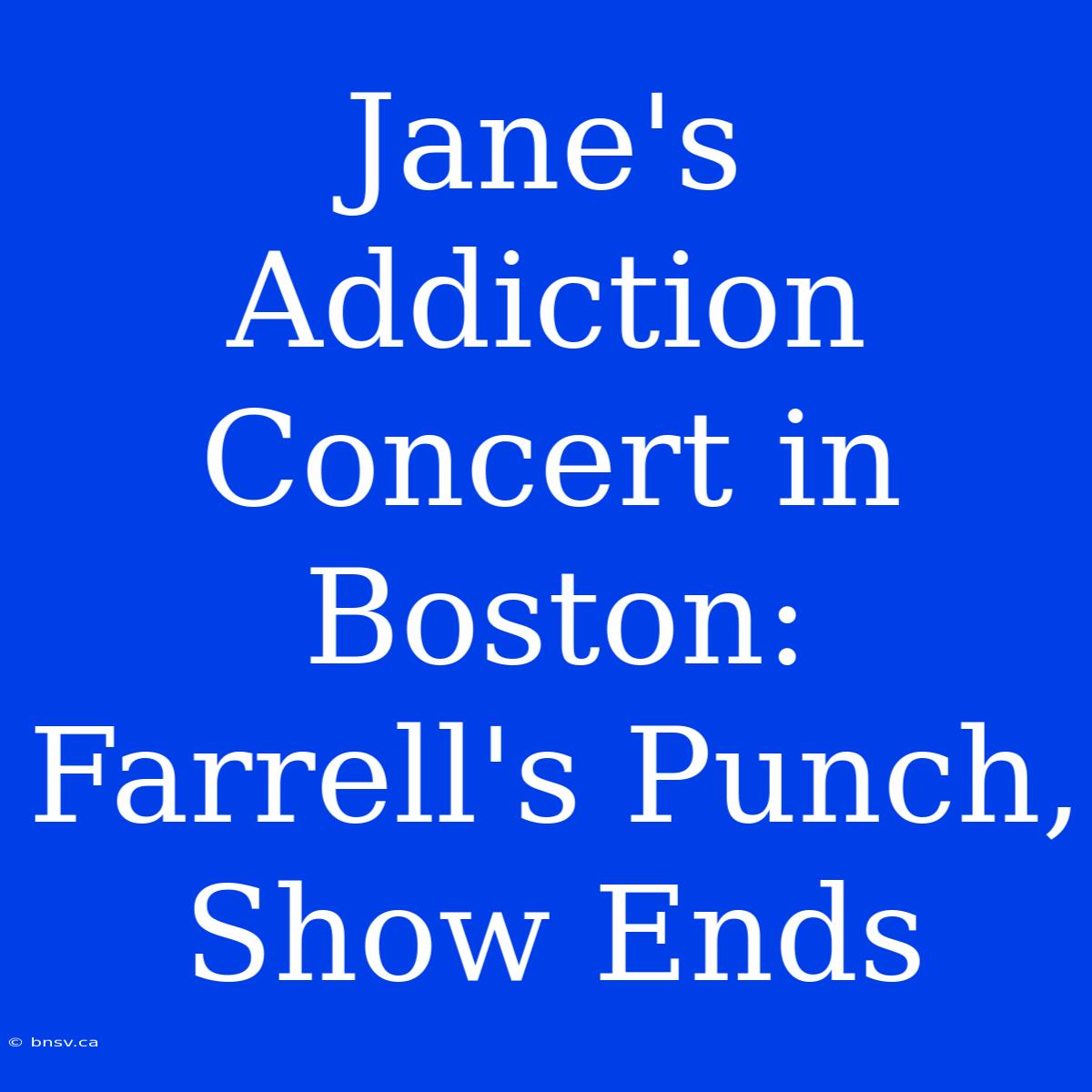 Jane's Addiction Concert In Boston: Farrell's Punch, Show Ends