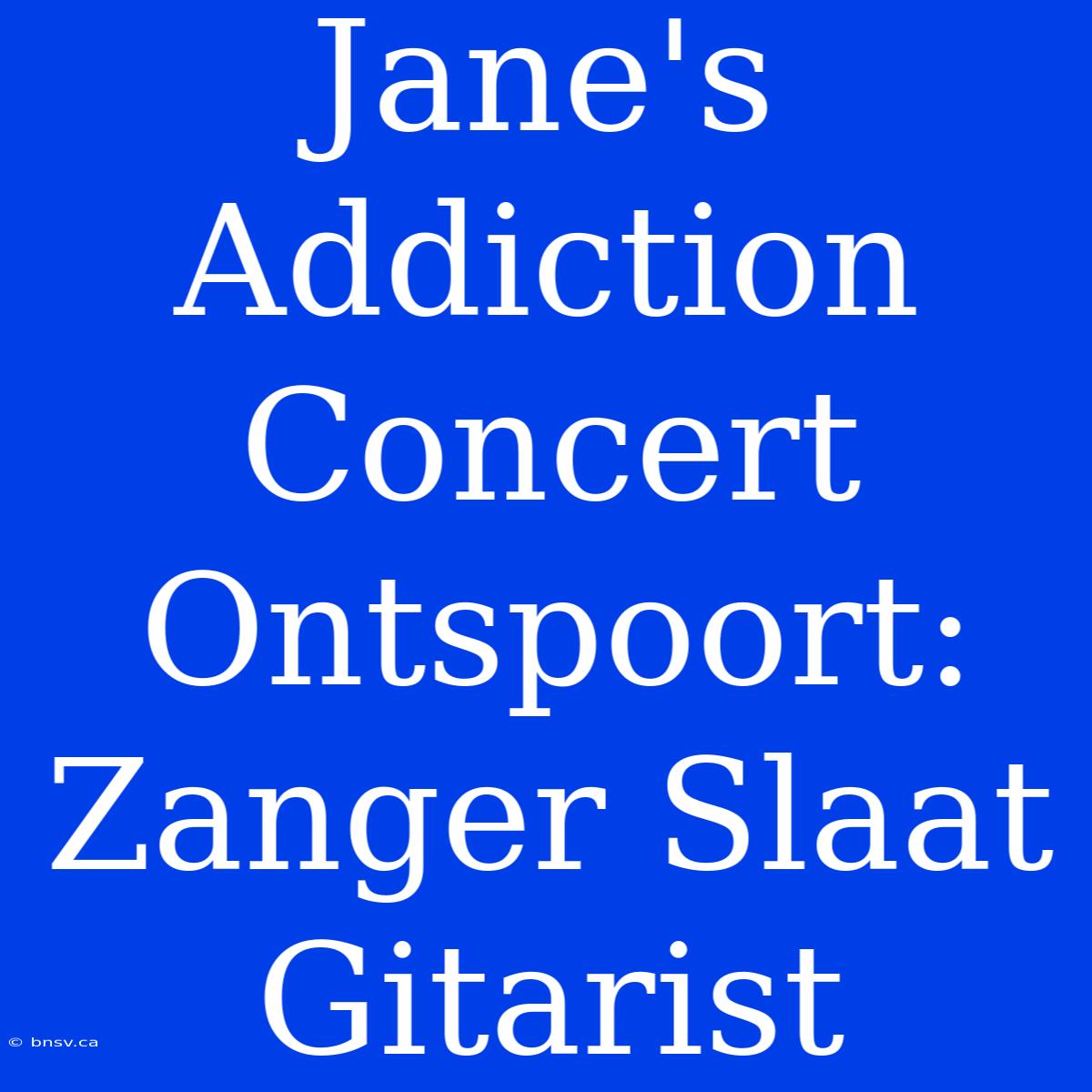 Jane's Addiction Concert Ontspoort: Zanger Slaat Gitarist