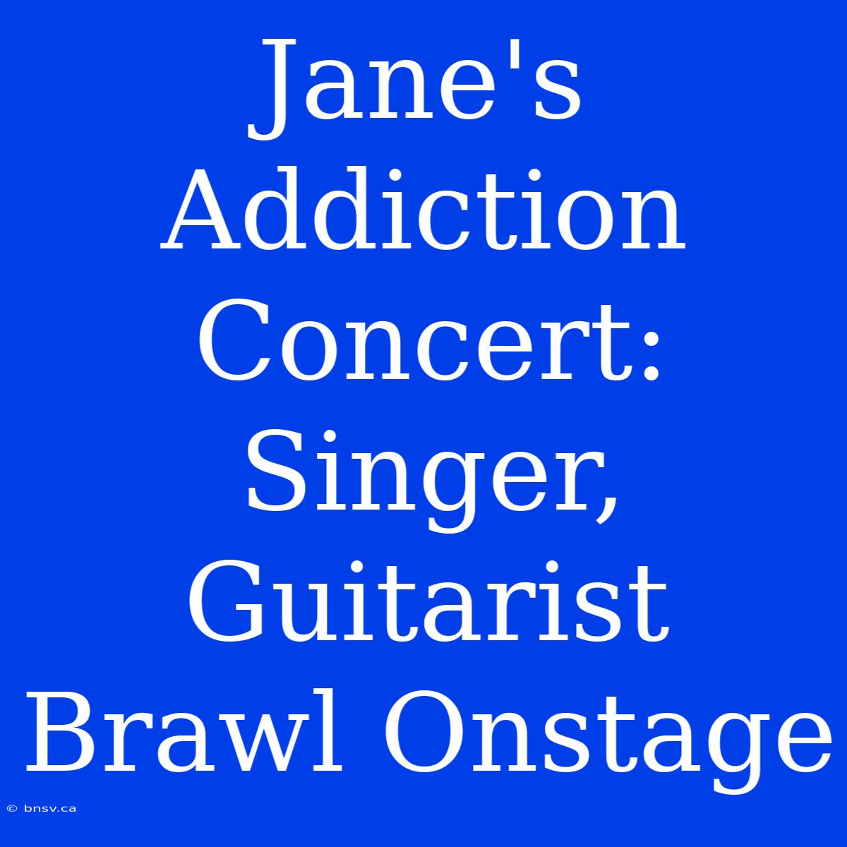 Jane's Addiction Concert: Singer, Guitarist Brawl Onstage