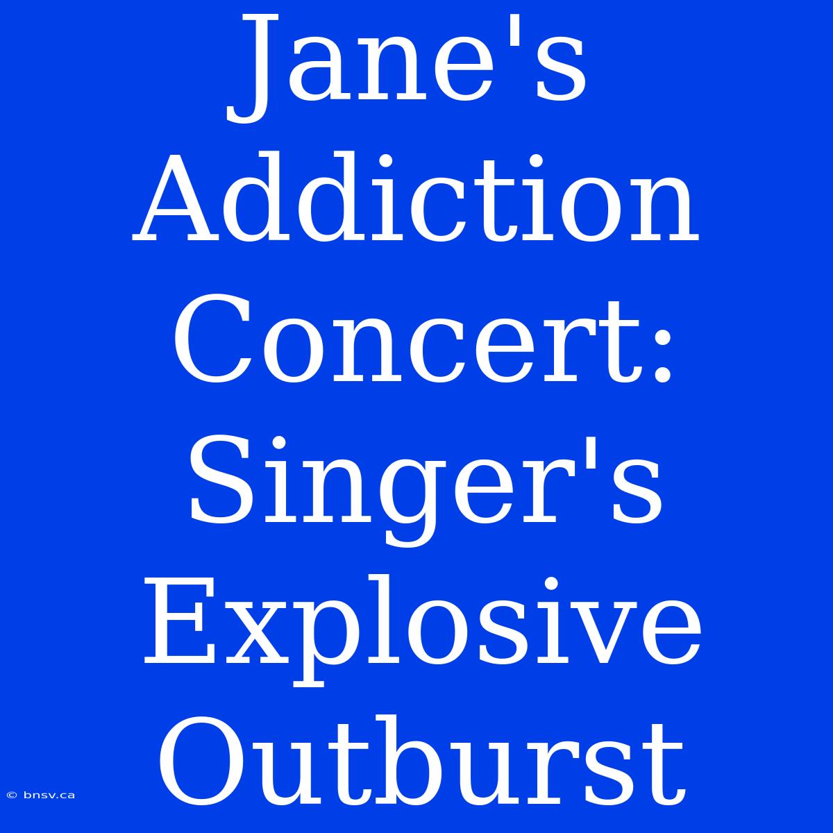 Jane's Addiction Concert: Singer's Explosive Outburst