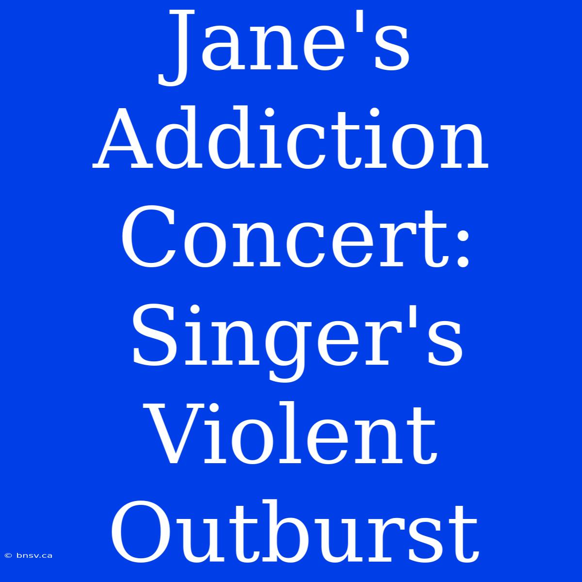 Jane's Addiction Concert:  Singer's Violent Outburst