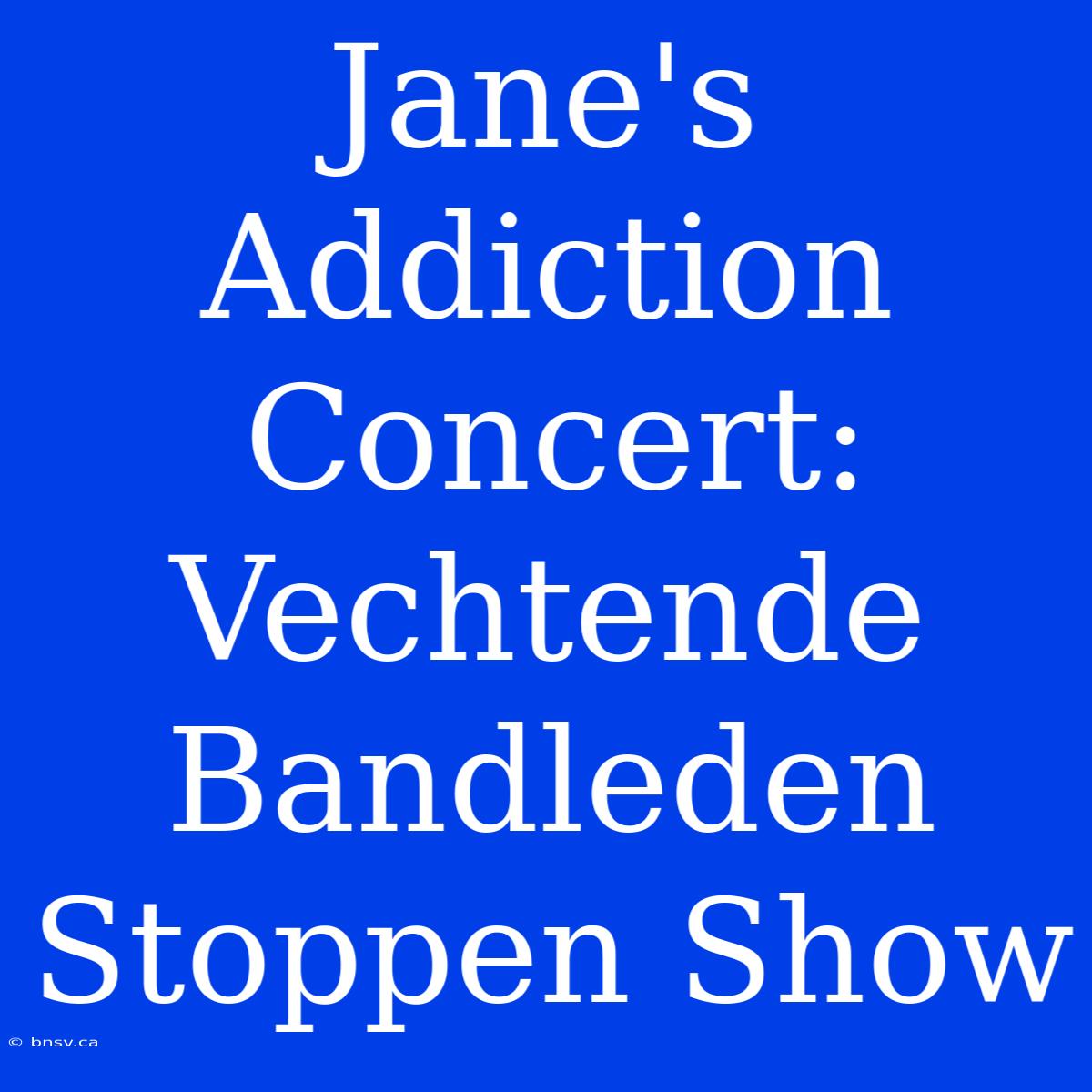 Jane's Addiction Concert: Vechtende Bandleden Stoppen Show