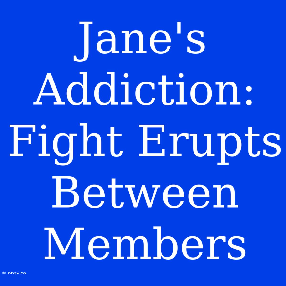 Jane's Addiction: Fight Erupts Between Members