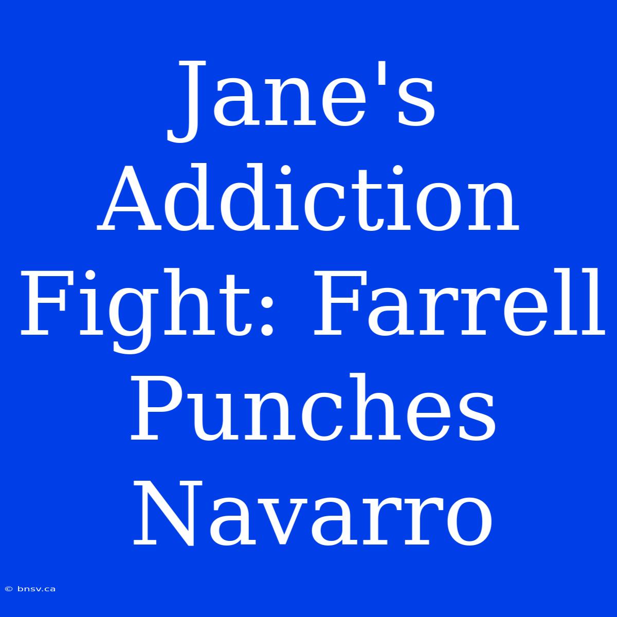 Jane's Addiction Fight: Farrell Punches Navarro