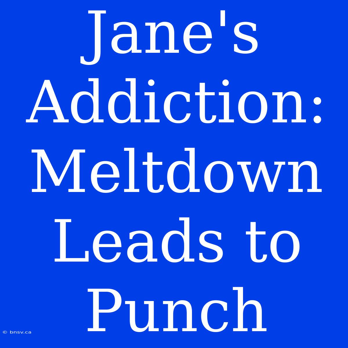 Jane's Addiction: Meltdown Leads To Punch