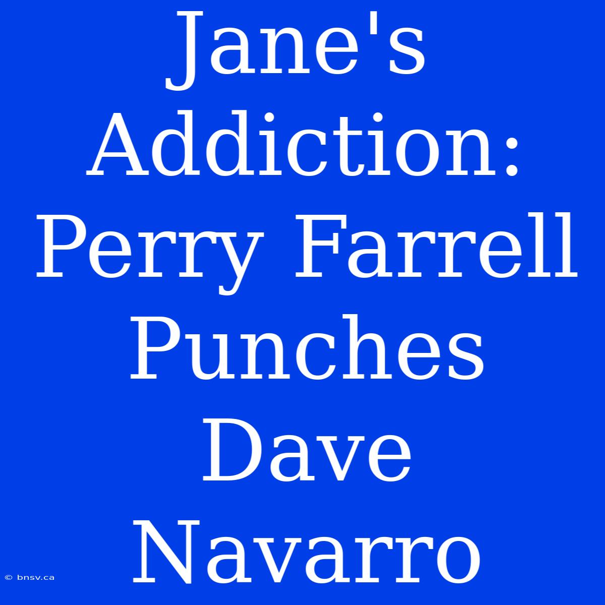 Jane's Addiction: Perry Farrell Punches Dave Navarro