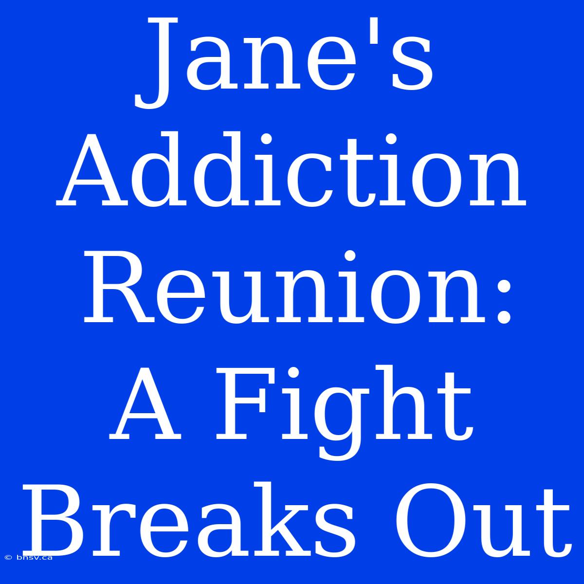 Jane's Addiction Reunion:  A Fight Breaks Out