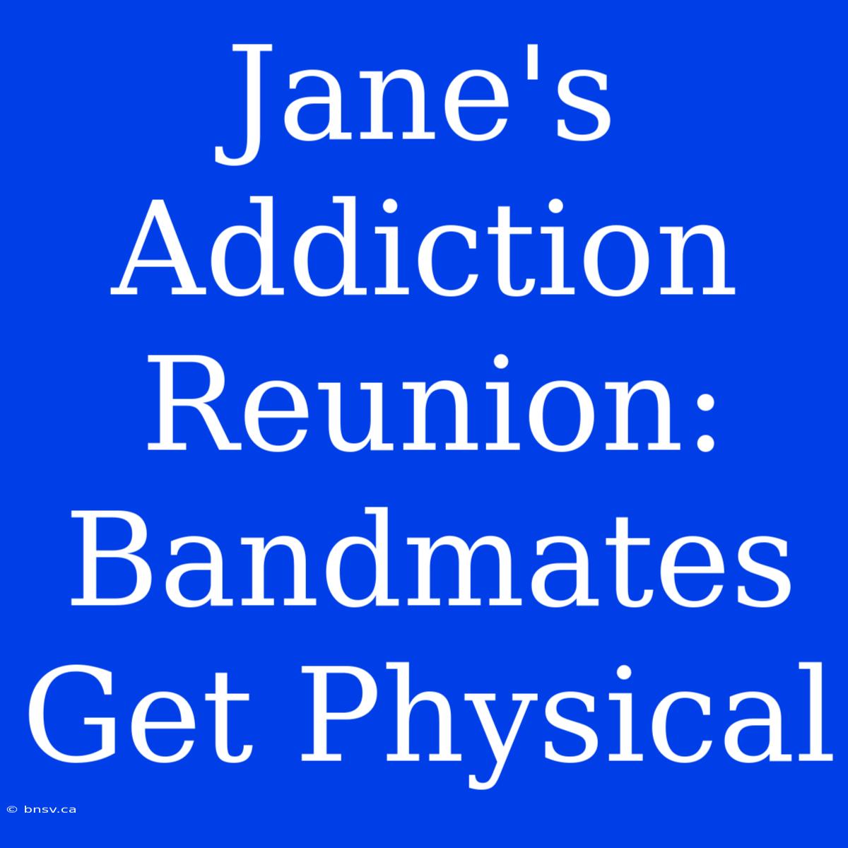 Jane's Addiction Reunion:  Bandmates Get Physical