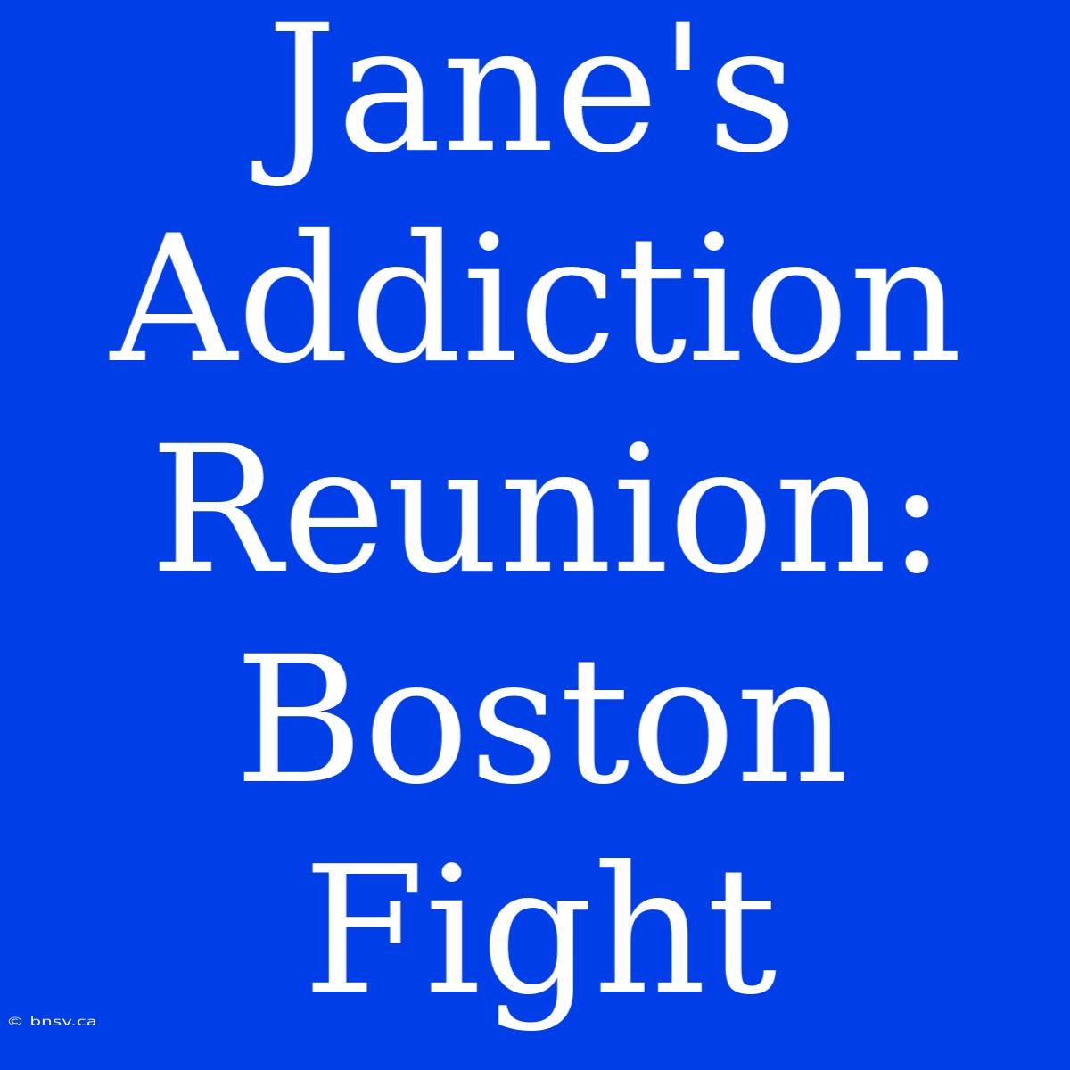 Jane's Addiction Reunion:  Boston Fight