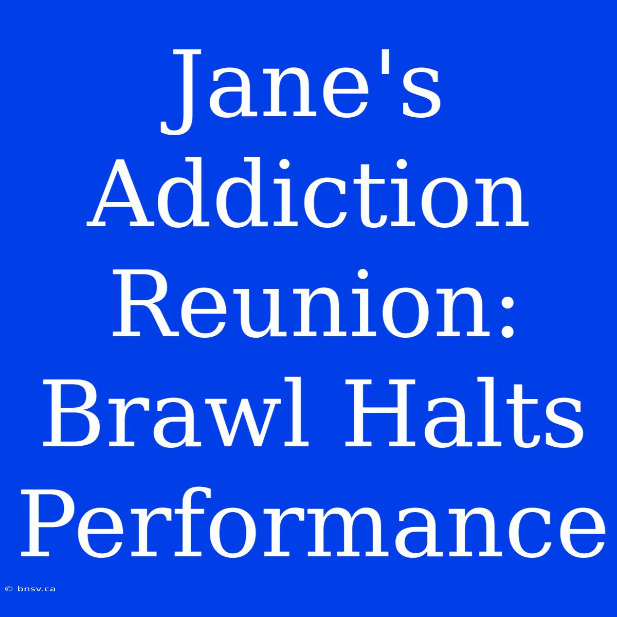 Jane's Addiction Reunion:  Brawl Halts Performance