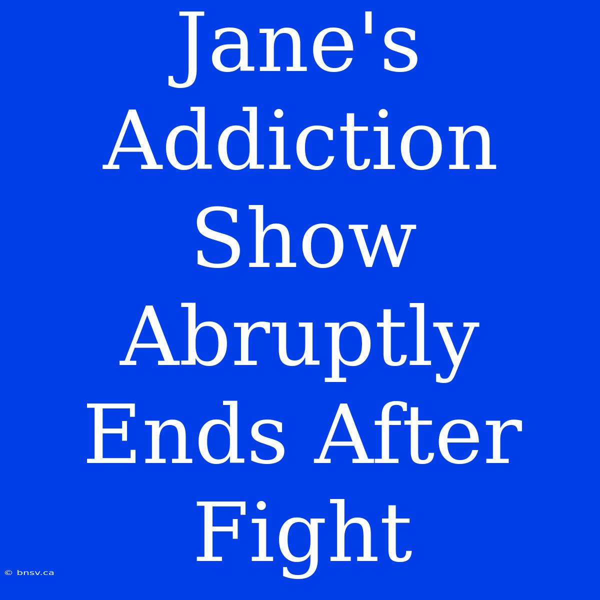 Jane's Addiction Show Abruptly Ends After Fight