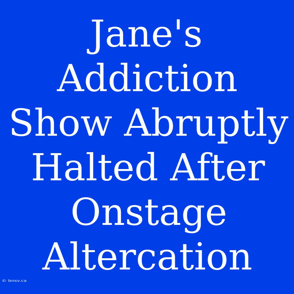 Jane's Addiction Show Abruptly Halted After Onstage Altercation