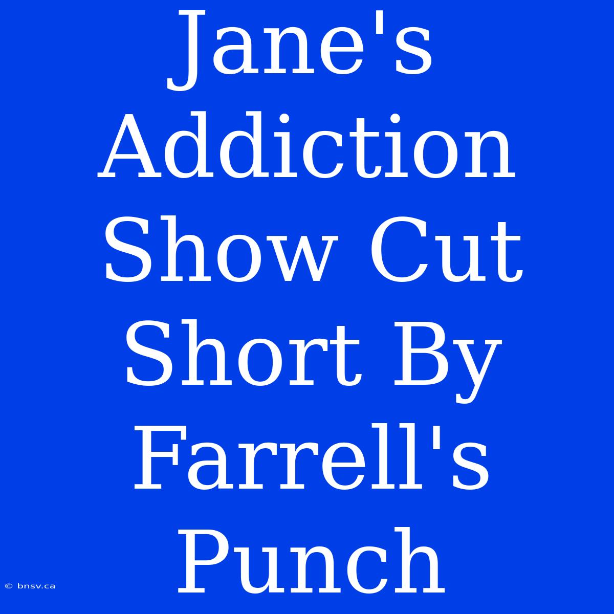 Jane's Addiction Show Cut Short By Farrell's Punch