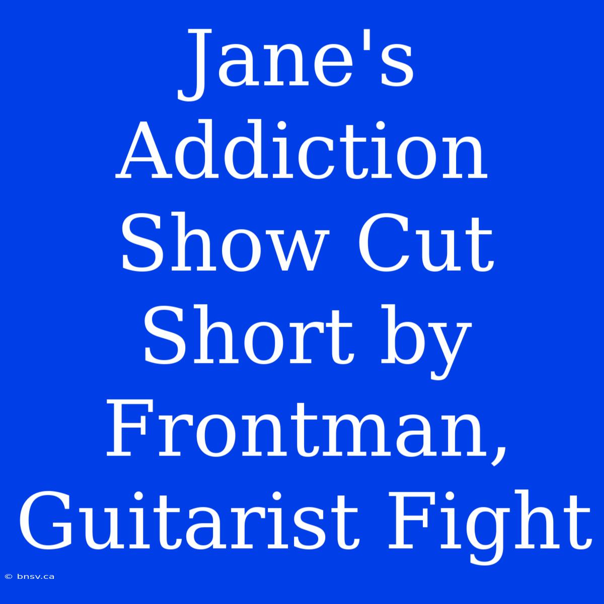 Jane's Addiction Show Cut Short By Frontman, Guitarist Fight