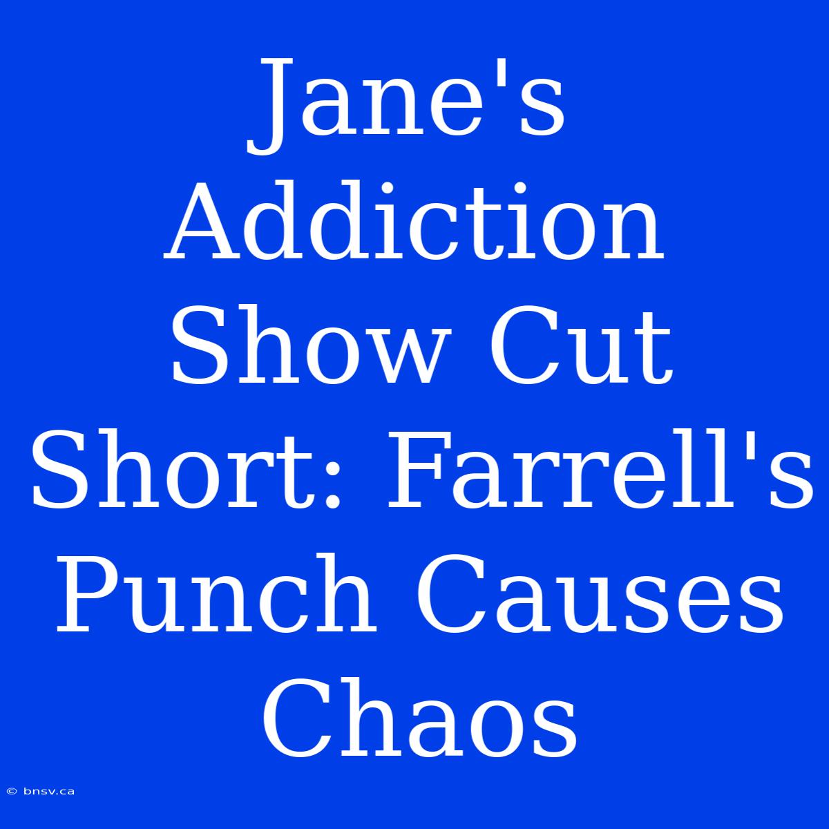 Jane's Addiction Show Cut Short: Farrell's Punch Causes Chaos