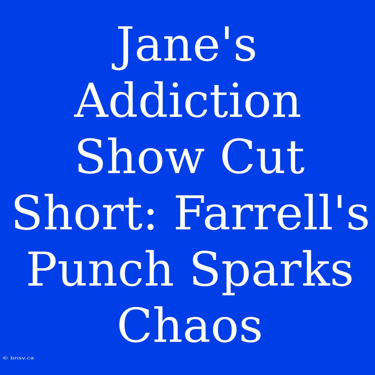 Jane's Addiction Show Cut Short: Farrell's Punch Sparks Chaos