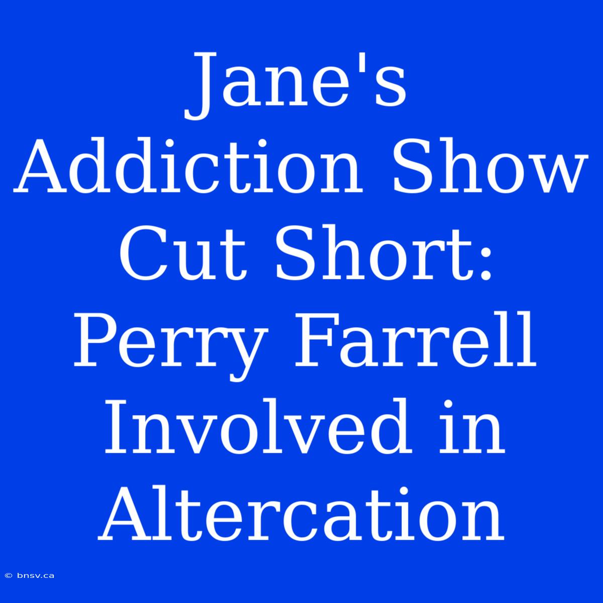 Jane's Addiction Show Cut Short: Perry Farrell Involved In Altercation