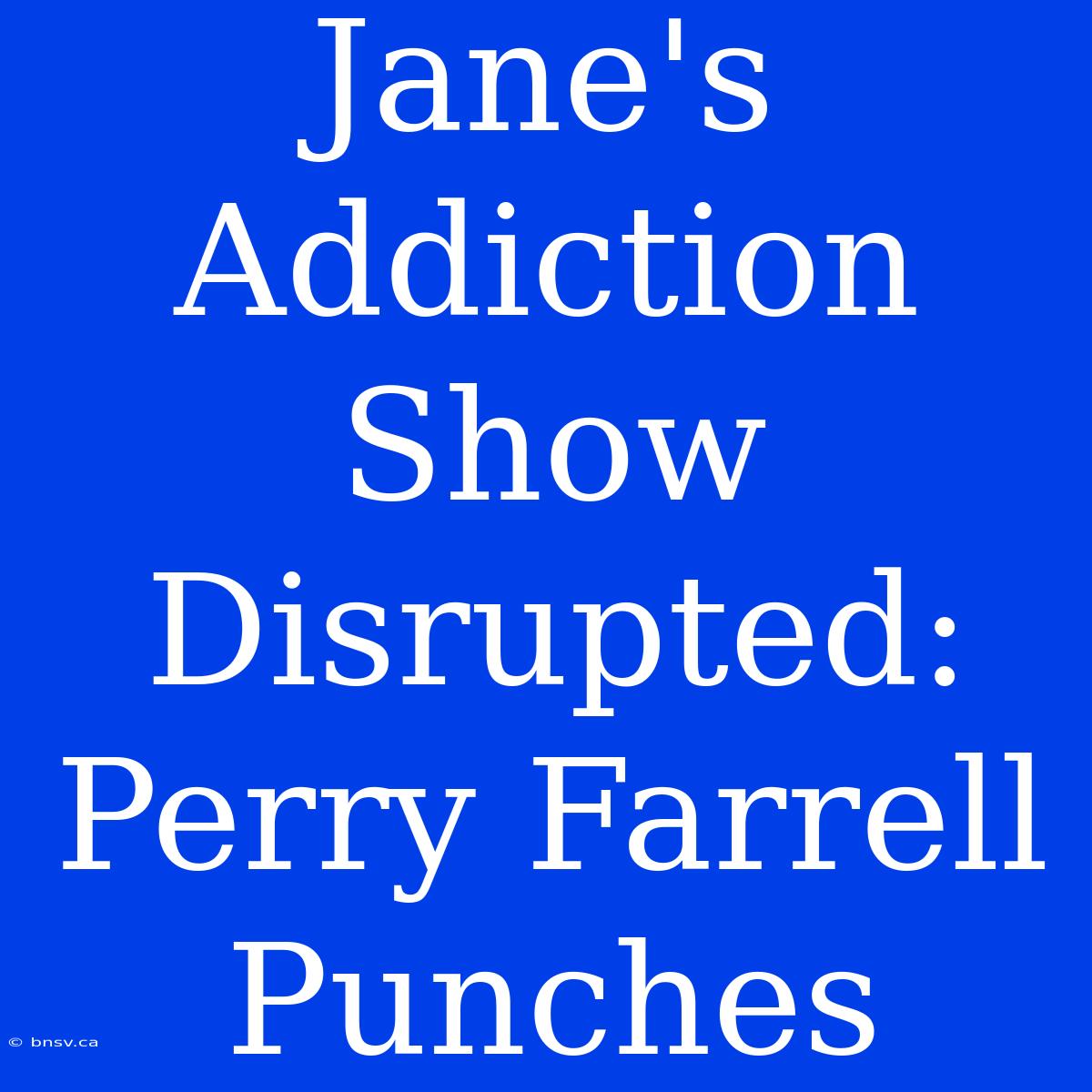 Jane's Addiction Show Disrupted: Perry Farrell Punches