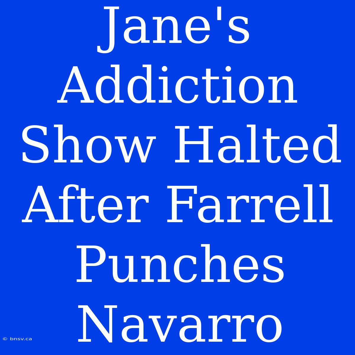 Jane's Addiction Show Halted After Farrell Punches Navarro