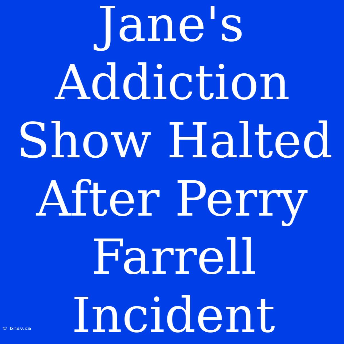 Jane's Addiction Show Halted After Perry Farrell Incident