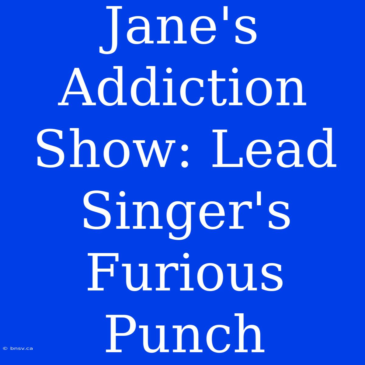 Jane's Addiction Show: Lead Singer's  Furious Punch