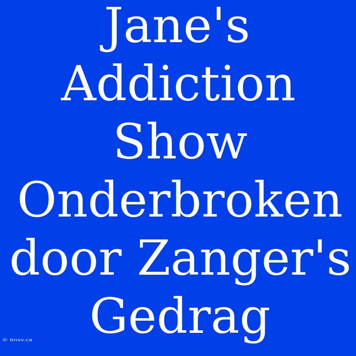 Jane's Addiction Show Onderbroken Door Zanger's Gedrag