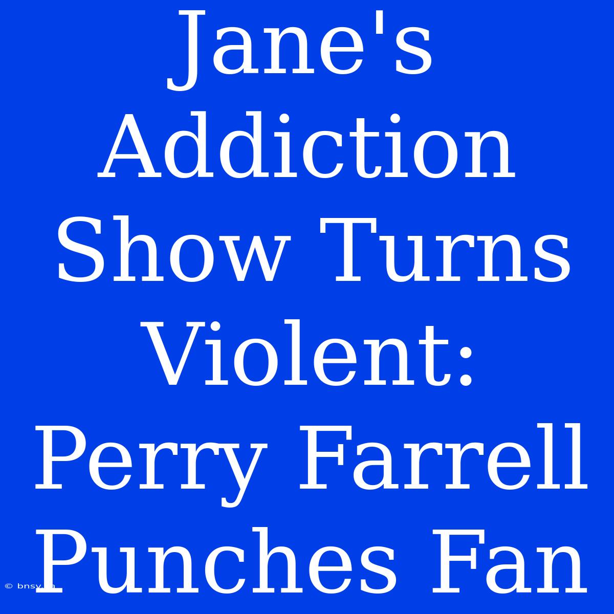 Jane's Addiction Show Turns Violent: Perry Farrell Punches Fan