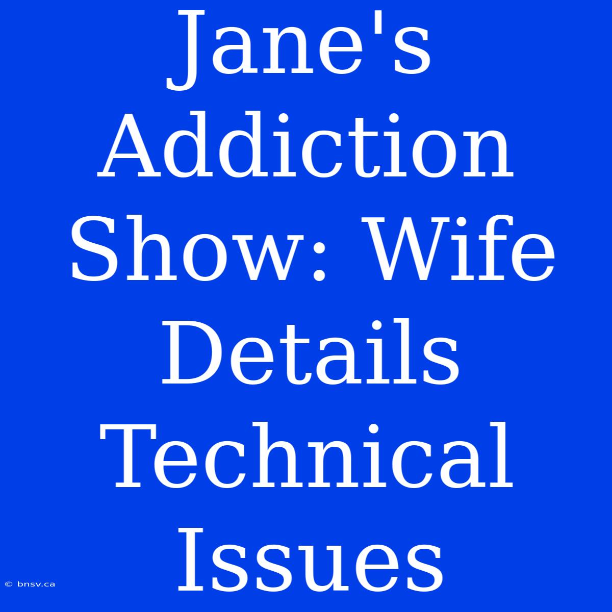 Jane's Addiction Show: Wife Details Technical Issues