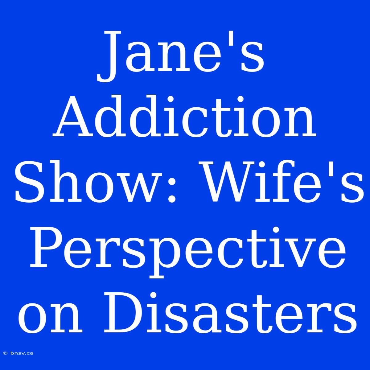 Jane's Addiction Show: Wife's Perspective On Disasters