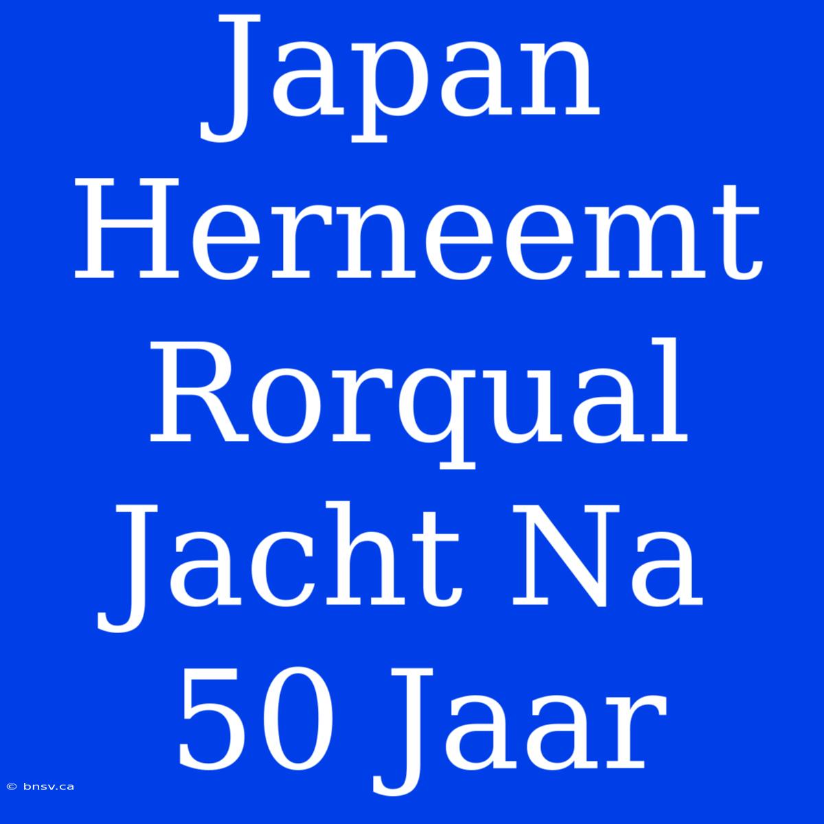 Japan Herneemt Rorqual Jacht Na 50 Jaar