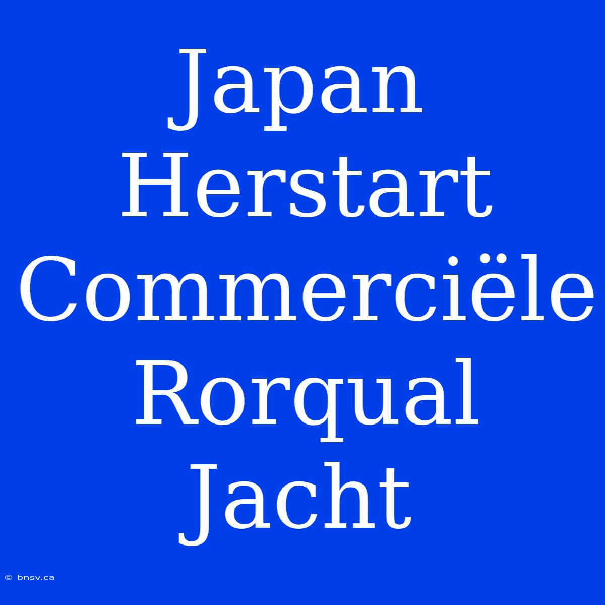 Japan Herstart Commerciële Rorqual Jacht