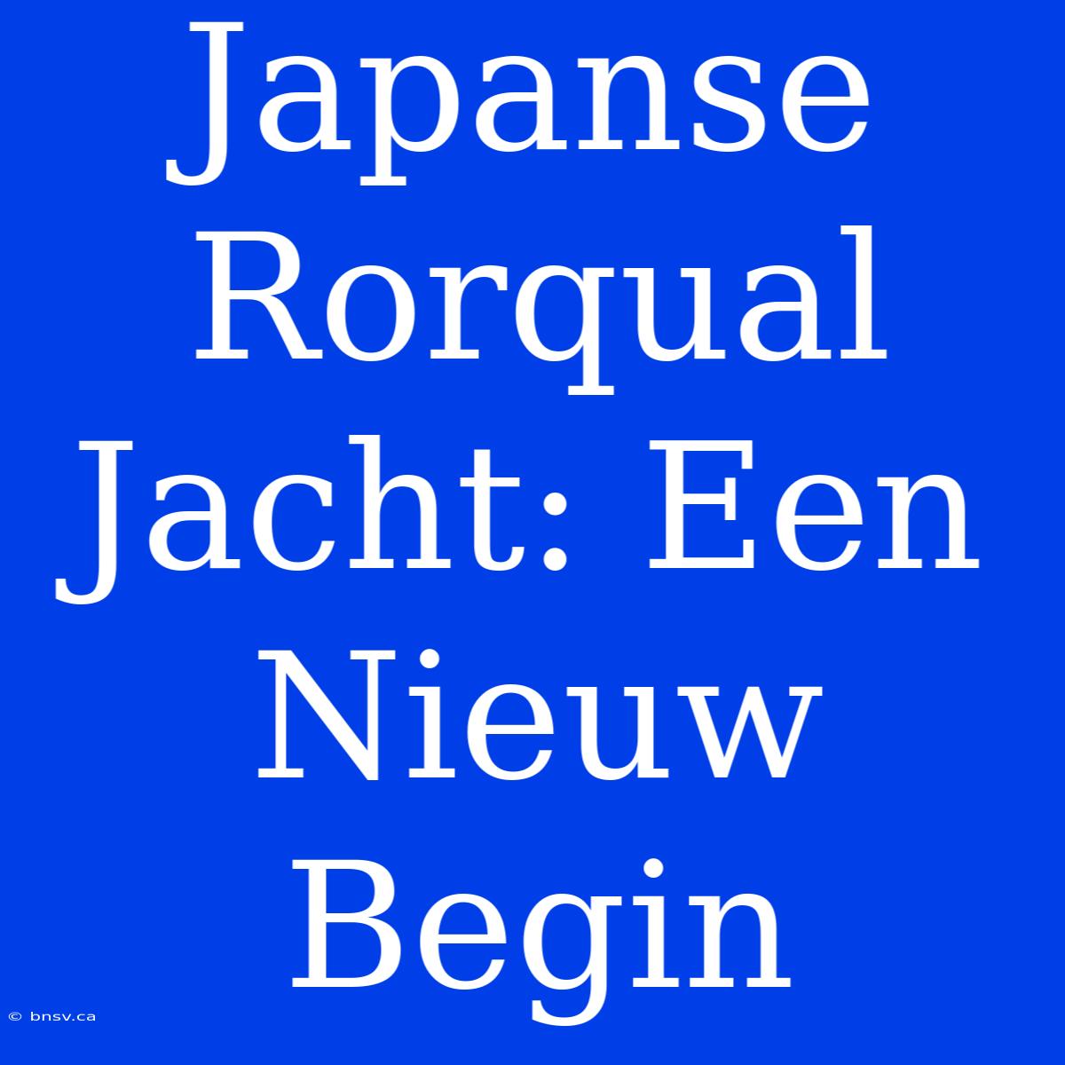 Japanse Rorqual Jacht: Een Nieuw Begin