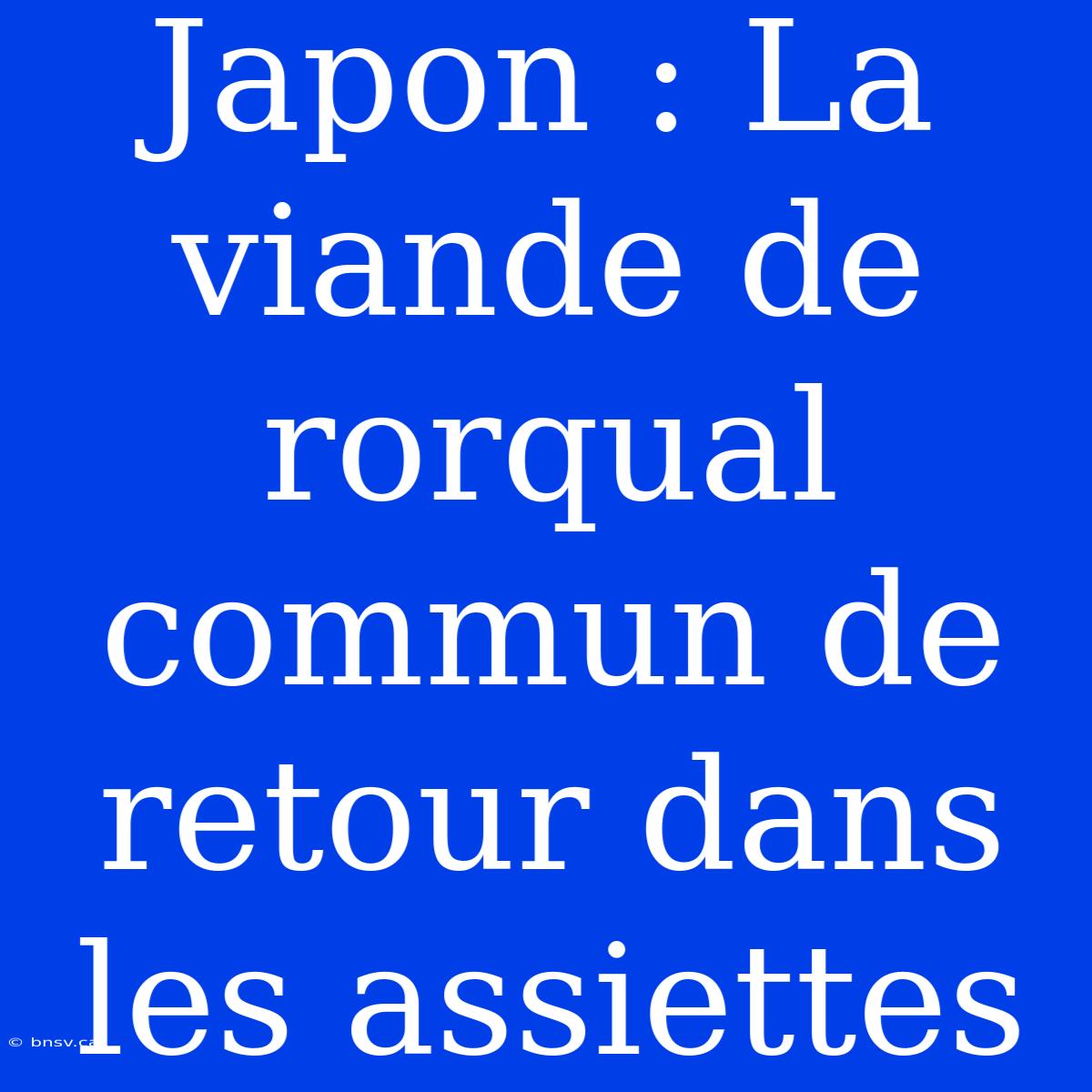 Japon : La Viande De Rorqual Commun De Retour Dans Les Assiettes