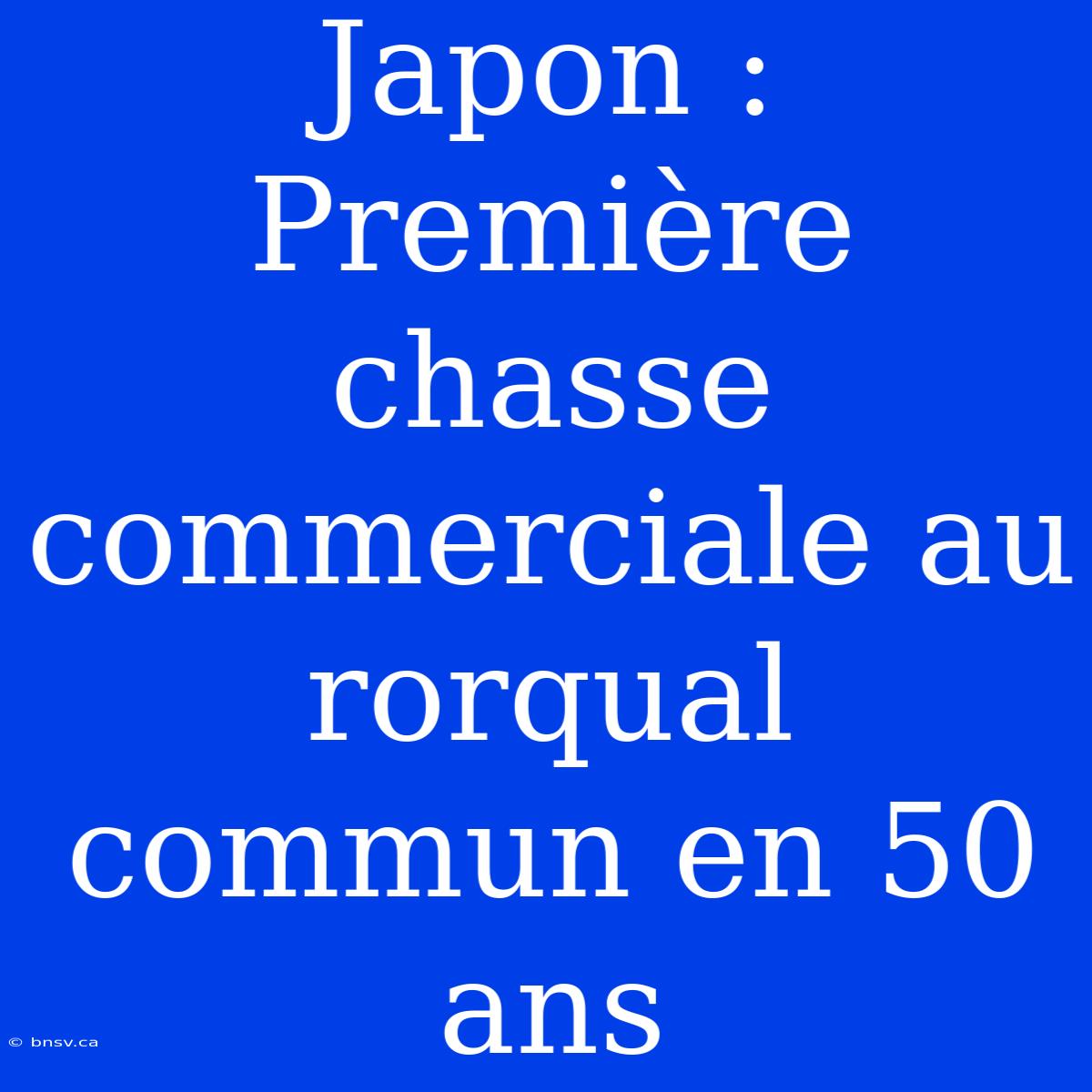 Japon : Première Chasse Commerciale Au Rorqual Commun En 50 Ans