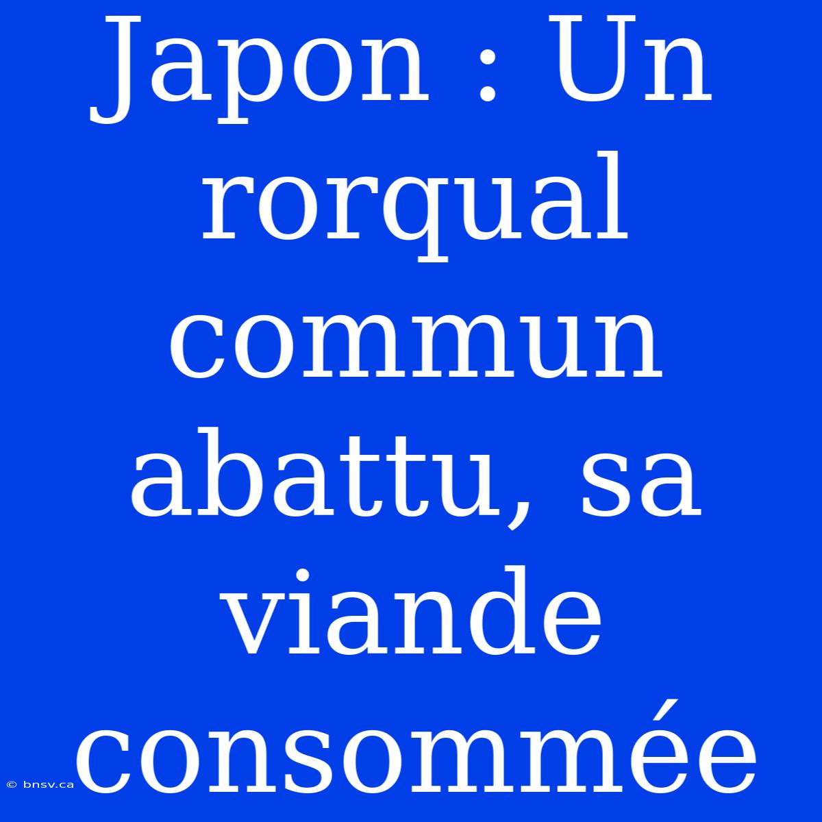 Japon : Un Rorqual Commun Abattu, Sa Viande Consommée