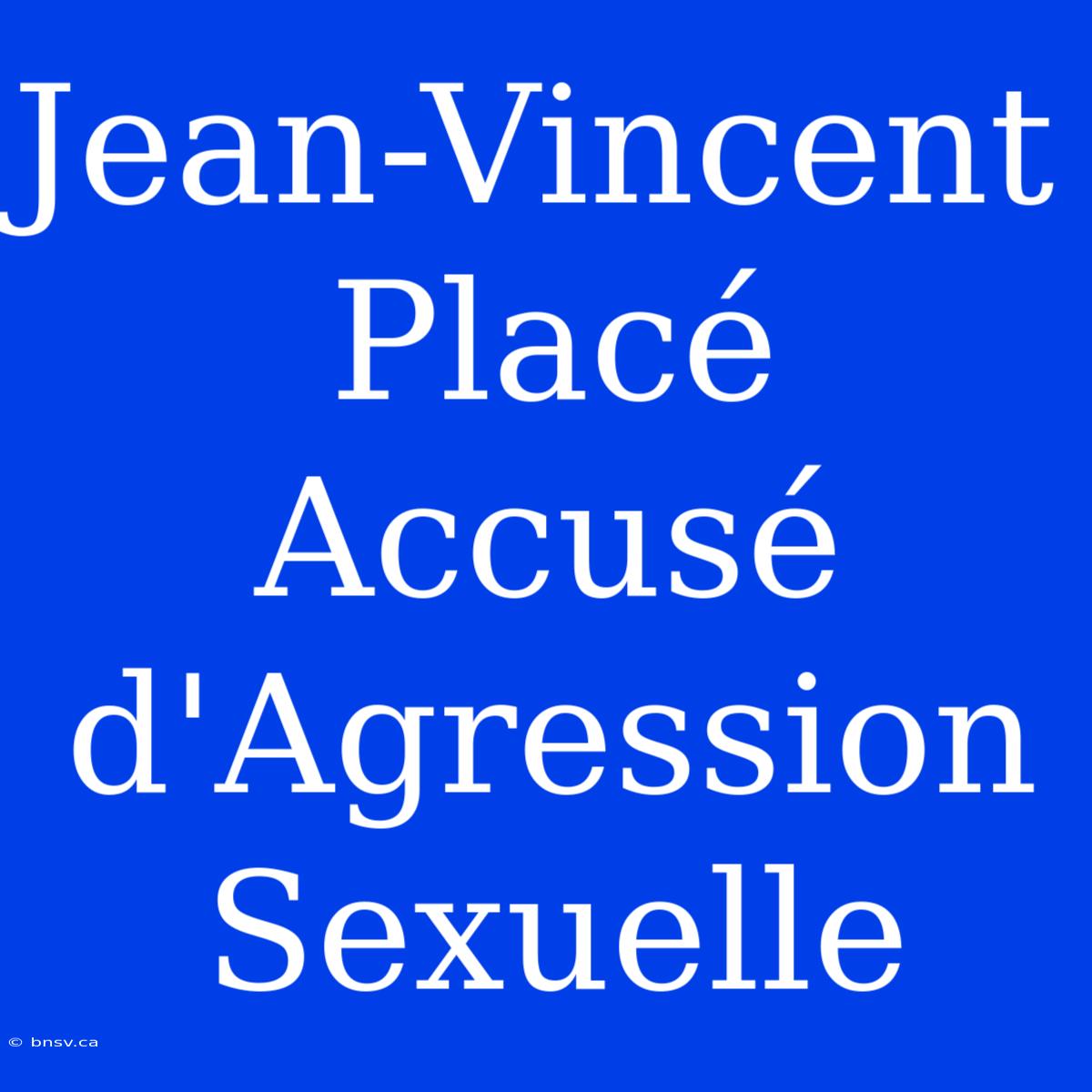 Jean-Vincent Placé Accusé D'Agression Sexuelle