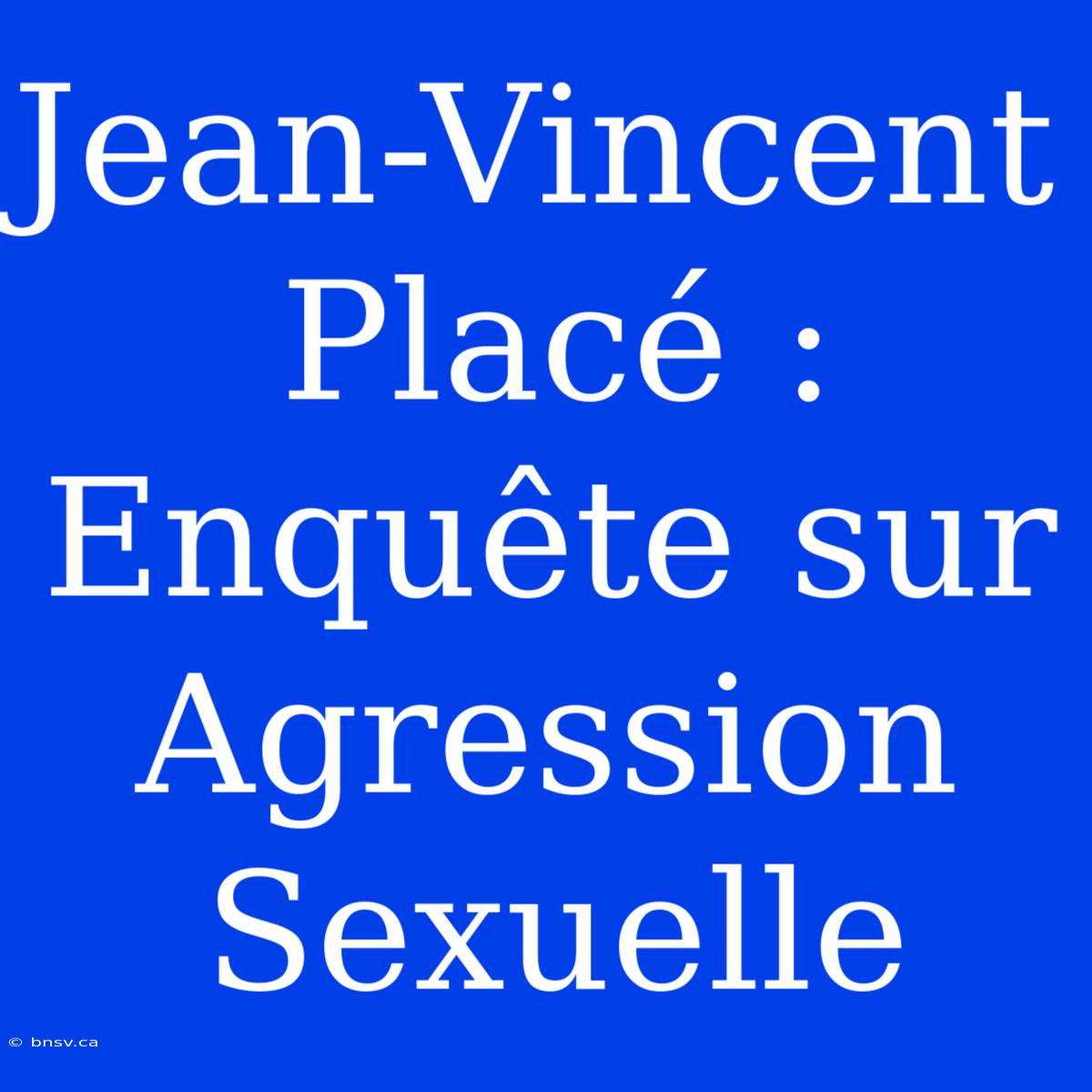 Jean-Vincent Placé : Enquête Sur Agression Sexuelle