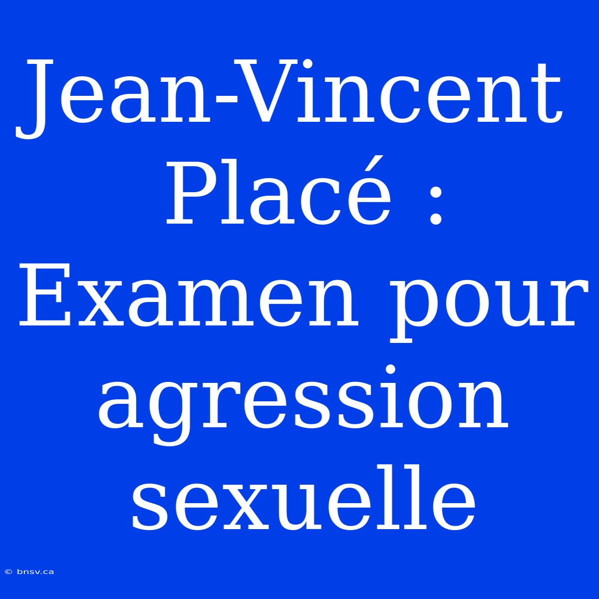 Jean-Vincent Placé :  Examen Pour Agression Sexuelle