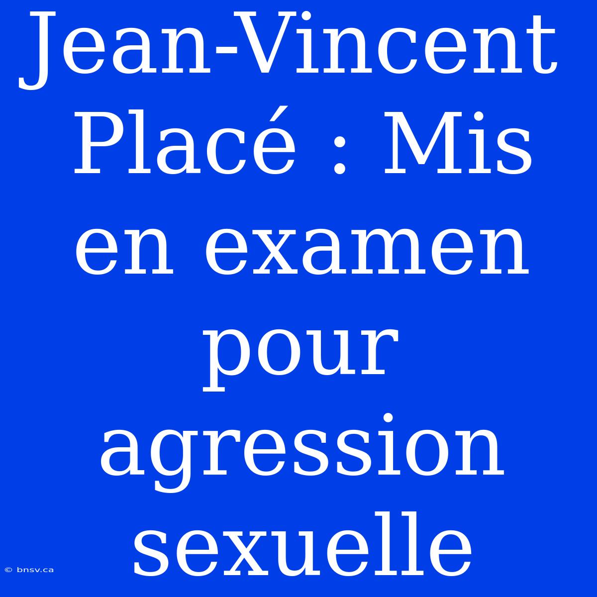 Jean-Vincent Placé : Mis En Examen Pour Agression Sexuelle